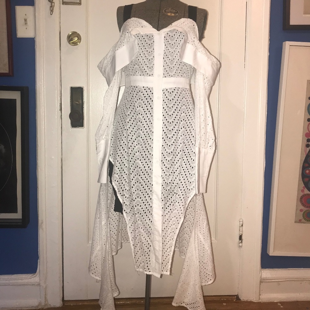 Harvey the Label Becca Shirt Dress